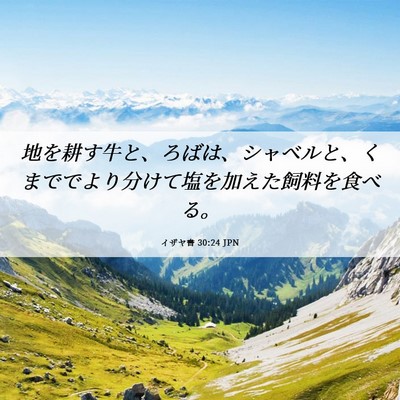 Picture 06 - イザヤ書 30:24 JPN - 地を耕す牛と、ろばは、シャベルと - Bible Verse Picture