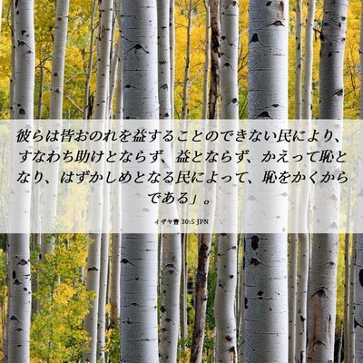 Picture 06 - イザヤ書 30:5 JPN - 彼らは皆おのれを益することのでき - Bible Verse Picture