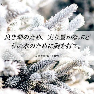 Picture 06 - イザヤ書 32:12 JPN - 良き畑のため、実り豊かなぶどうの - Bible Verse Picture