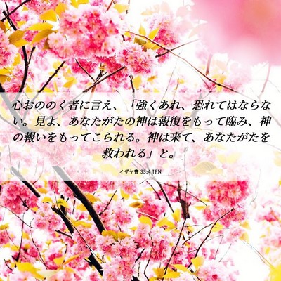 Picture 06 - イザヤ書 35:4 JPN - 心おののく者に言え、「強くあれ、 - Bible Verse Picture
