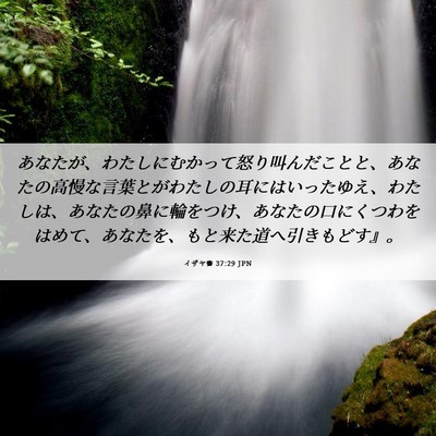 Picture 06 - イザヤ書 37:29 JPN - あなたが、わたしにむかって怒り叫 - Bible Verse Picture