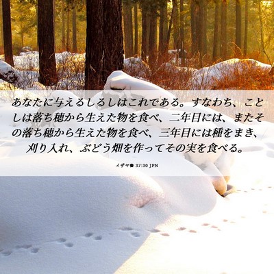 Picture 06 - イザヤ書 37:30 JPN - あなたに与えるしるしはこれである - Bible Verse Picture