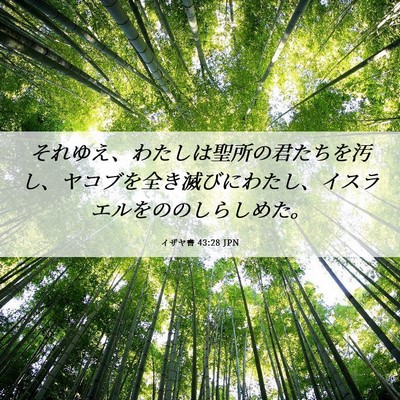 Picture 06 - イザヤ書 43:28 JPN - それゆえ、わたしは聖所の君たちを - Bible Verse Picture