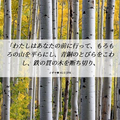 Picture 06 - イザヤ書 45:2 JPN - 「わたしはあなたの前に行って、も - Bible Verse Picture