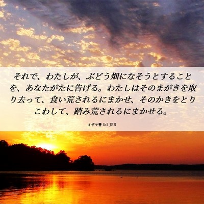 Picture 06 - イザヤ書 5:5 JPN - それで、わたしが、ぶどう畑になそ - Bible Verse Picture