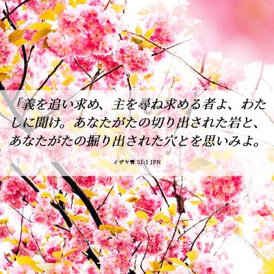Picture 06 - イザヤ書 51:1 JPN - 「義を追い求め、主を尋ね求める者 - Bible Verse Picture