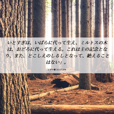 Picture 06 - イザヤ書 55:13 JPN - いとすぎは、いばらに代って生え、 - Bible Verse Picture