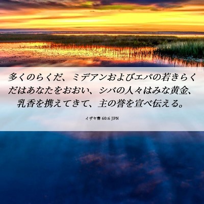 Picture 06 - イザヤ書 60:6 JPN - 多くのらくだ、ミデアンおよびエパ - Bible Verse Picture