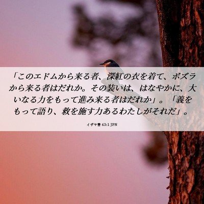 Picture 06 - イザヤ書 63:1 JPN - 「このエドムから来る者、深紅の衣 - Bible Verse Picture