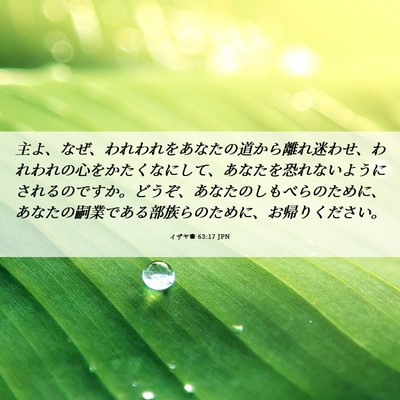 Picture 06 - イザヤ書 63:17 JPN - 主よ、なぜ、われわれをあなたの道 - Bible Verse Picture