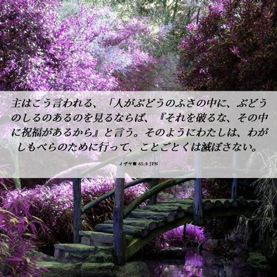 Picture 06 - イザヤ書 65:8 JPN - 主はこう言われる、「人がぶどうの - Bible Verse Picture