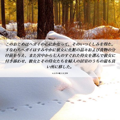 Picture 06 - エステル記 2:9 JPN - このおとめはヘガイの心にかなって - Bible Verse Picture