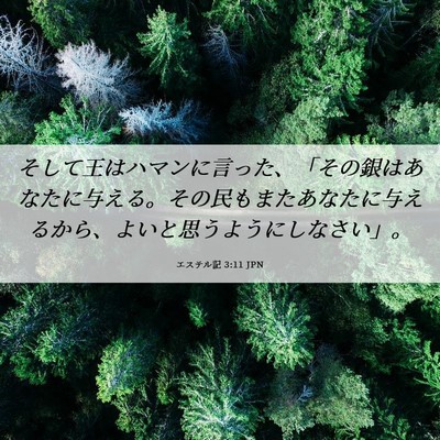 Picture 06 - エステル記 3:11 JPN - そして王はハマンに言った、「その - Bible Verse Picture