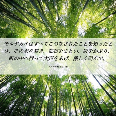 Picture 06 - エステル記 4:1 JPN - モルデカイはすべてこのなされたこ - Bible Verse Picture