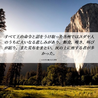 Picture 06 - エステル記 4:3 JPN - すべて王の命令と詔をうけ取った各 - Bible Verse Picture