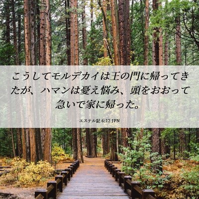 Picture 06 - エステル記 6:12 JPN - こうしてモルデカイは王の門に帰っ - Bible Verse Picture