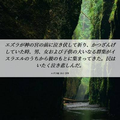 Picture 06 - エズラ記 10:1 JPN - エズラが神の宮の前に泣き伏して祈 - Bible Verse Picture