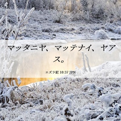 Picture 06 - エズラ記 10:37 JPN - マッタニヤ、マッテナイ、ヤアス。 - Bible Verse Picture