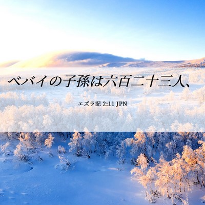 Picture 06 - エズラ記 2:11 JPN - ベバイの子孫は六百二十三人、 - Bible Verse Picture