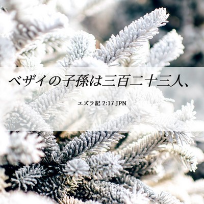 Picture 06 - エズラ記 2:17 JPN - ベザイの子孫は三百二十三人、 - Bible Verse Picture