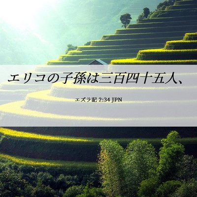 Picture 06 - エズラ記 2:34 JPN - エリコの子孫は三百四十五人、 - Bible Verse Picture