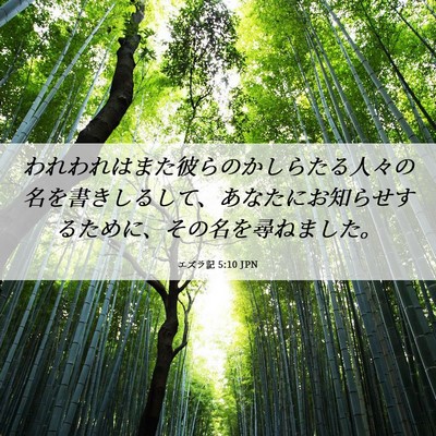 Picture 06 - エズラ記 5:10 JPN - われわれはまた彼らのかしらたる人 - Bible Verse Picture