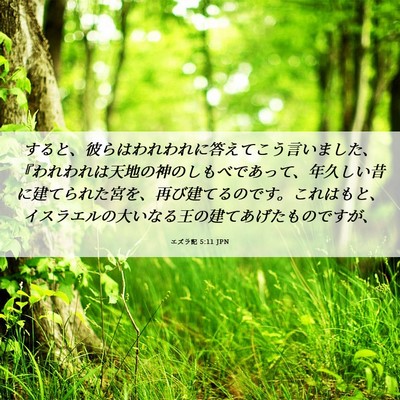 Picture 06 - エズラ記 5:11 JPN - すると、彼らはわれわれに答えてこ - Bible Verse Picture