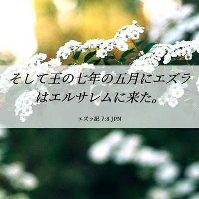 Picture 06 - エズラ記 7:8 JPN - そして王の七年の五月にエズラはエ - Bible Verse Picture