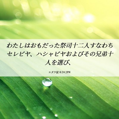 Picture 06 - エズラ記 8:24 JPN - わたしはおもだった祭司十二人すな - Bible Verse Picture