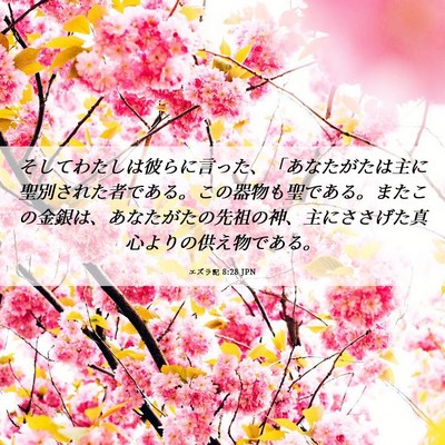 Picture 06 - エズラ記 8:28 JPN - そしてわたしは彼らに言った、「あ - Bible Verse Picture