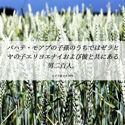 Picture 06 - エズラ記 8:4 JPN - パハテ・モアブの子孫のうちではゼ - Bible Verse Picture