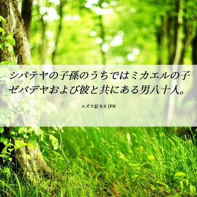 Picture 06 - エズラ記 8:8 JPN - シパテヤの子孫のうちではミカエル - Bible Verse Picture