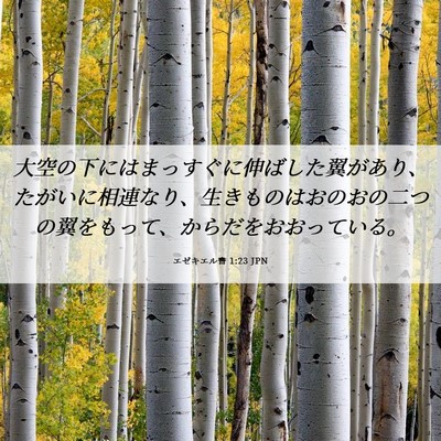 Picture 06 - エゼキエル書 1:23 JPN - 大空の下にはまっすぐに伸ばした翼 - Bible Verse Picture