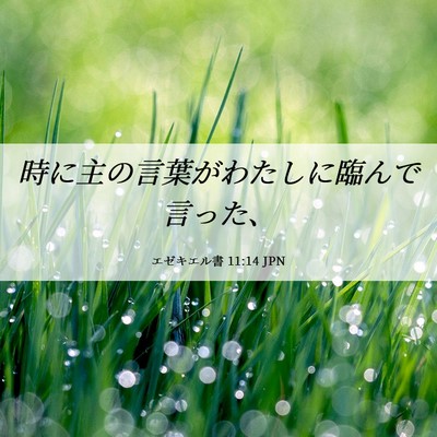 Picture 06 - エゼキエル書 11:14 JPN - 時に主の言葉がわたしに臨んで言っ - Bible Verse Picture