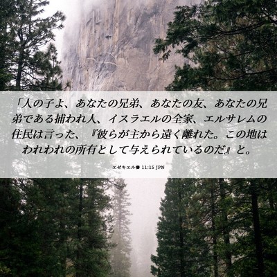 Picture 06 - エゼキエル書 11:15 JPN - 「人の子よ、あなたの兄弟、あなた - Bible Verse Picture