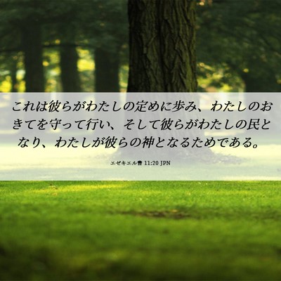 Picture 06 - エゼキエル書 11:20 JPN - これは彼らがわたしの定めに歩み、 - Bible Verse Picture