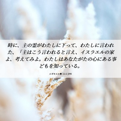 Picture 06 - エゼキエル書 11:5 JPN - 時に、主の霊がわたしに下って、わ - Bible Verse Picture