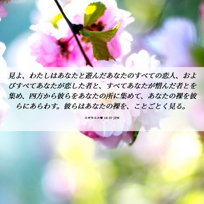 Picture 06 - エゼキエル書 16:37 JPN - 見よ、わたしはあなたと遊んだあな - Bible Verse Picture