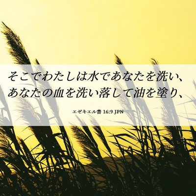 Picture 06 - エゼキエル書 16:9 JPN - そこでわたしは水であなたを洗い、 - Bible Verse Picture