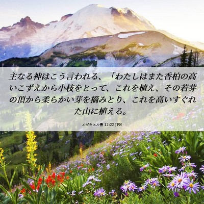 Picture 06 - エゼキエル書 17:22 JPN - 主なる神はこう言われる、「わたし - Bible Verse Picture