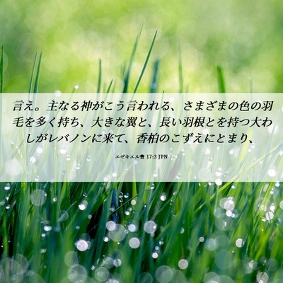 Picture 06 - エゼキエル書 17:3 JPN - 言え。主なる神がこう言われる、さ - Bible Verse Picture