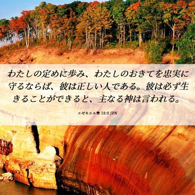 Picture 06 - エゼキエル書 18:9 JPN - わたしの定めに歩み、わたしのおき - Bible Verse Picture