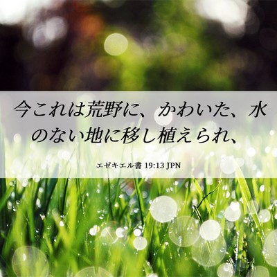 Picture 06 - エゼキエル書 19:13 JPN - 今これは荒野に、かわいた、水のな - Bible Verse Picture