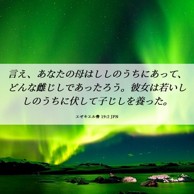 Picture 06 - エゼキエル書 19:2 JPN - 言え、あなたの母はししのうちにあ - Bible Verse Picture