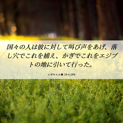 Picture 06 - エゼキエル書 19:4 JPN - 国々の人は彼に対して叫び声をあげ - Bible Verse Picture