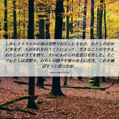 Picture 06 - エゼキエル書 20:13 JPN - しかしイスラエルの家は荒野でわた - Bible Verse Picture