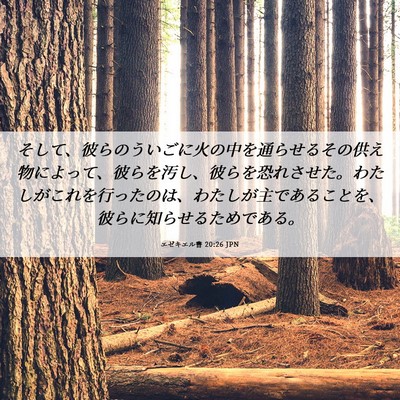 Picture 06 - エゼキエル書 20:26 JPN - そして、彼らのういごに火の中を通 - Bible Verse Picture