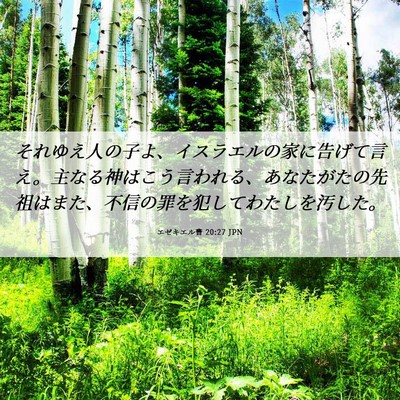 Picture 06 - エゼキエル書 20:27 JPN - それゆえ人の子よ、イスラエルの家 - Bible Verse Picture