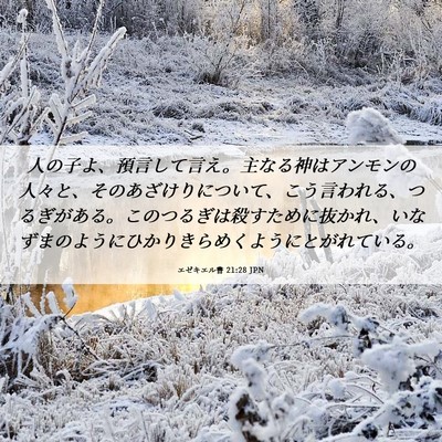 Picture 06 - エゼキエル書 21:28 JPN - 人の子よ、預言して言え。主なる神 - Bible Verse Picture
