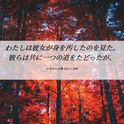 Picture 06 - エゼキエル書 23:13 JPN - わたしは彼女が身を汚したのを見た - Bible Verse Picture